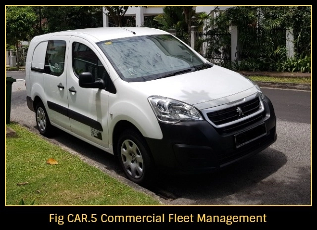 Car-fumigation-singapore-review