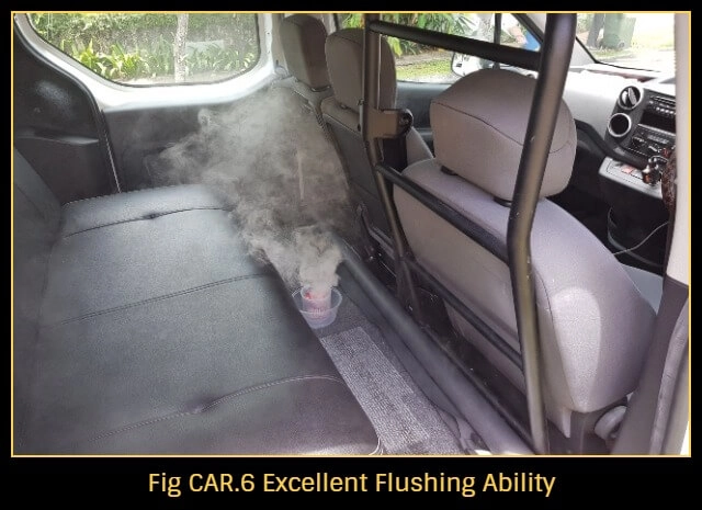 Get-rid-of-cockroaches-in-car