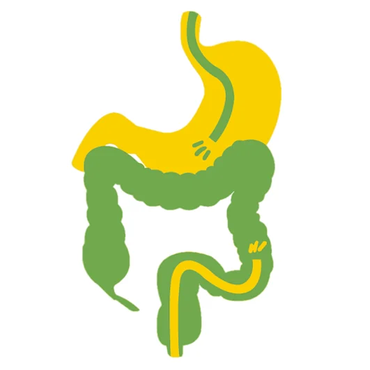 HC Endoscopy _ Piles Centre (AMK)