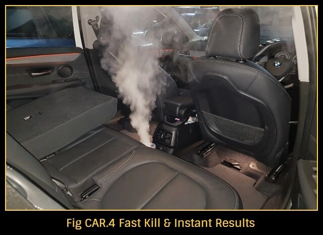 How-to-get-rid-of-cockroaches-in-car