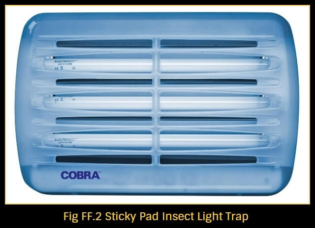 How-to-get-rid-of-flies-using-fly-trap