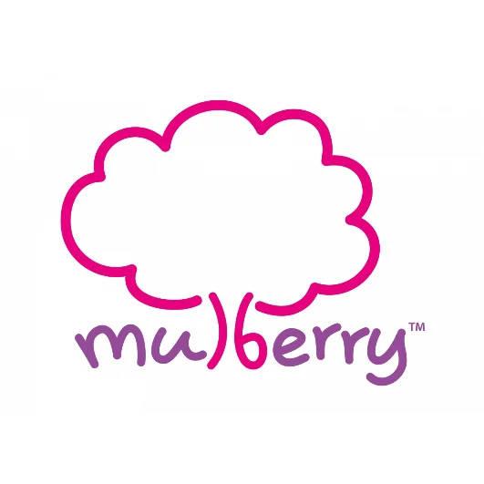 Mulberry Learning Centre @ Bukit Batok Pte Ltd