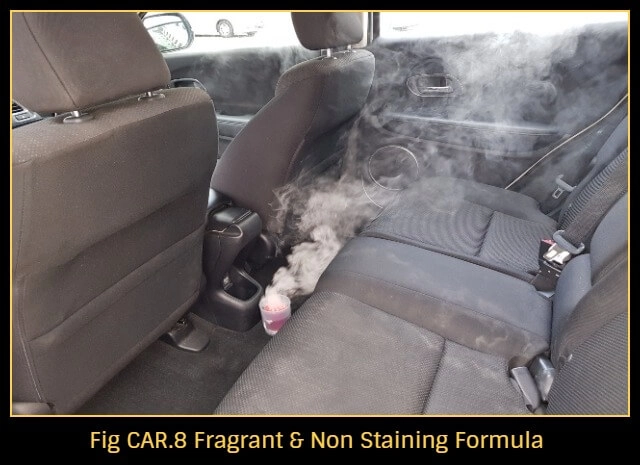 Remove-cockroaches-from-car