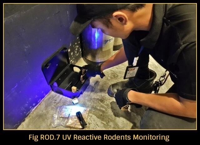 Rodent-control-Singapore