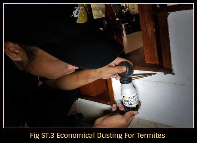Termite-control-singapore