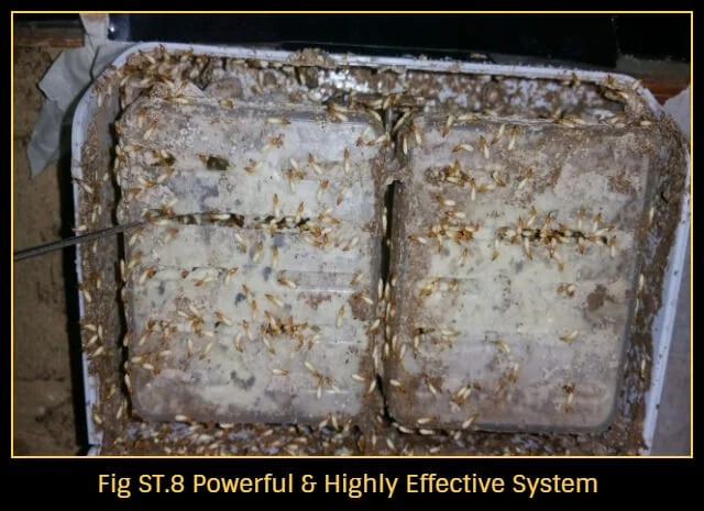 Termite-treatment