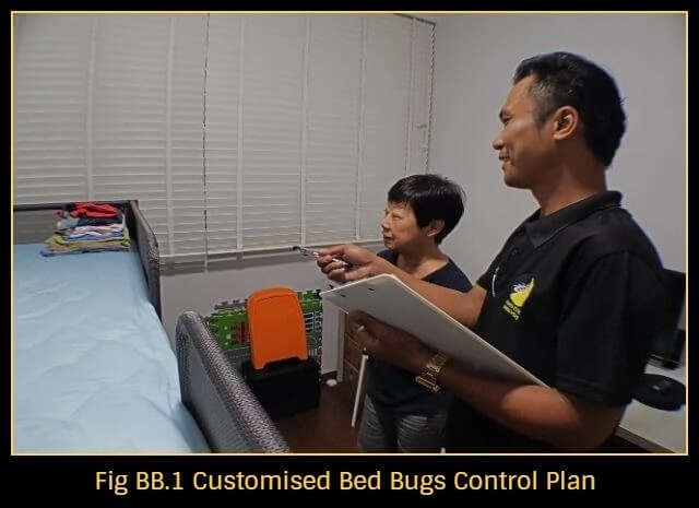 bed-bugs-control-singapore