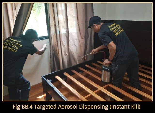 how-to-get-rid-of-bed-bugs